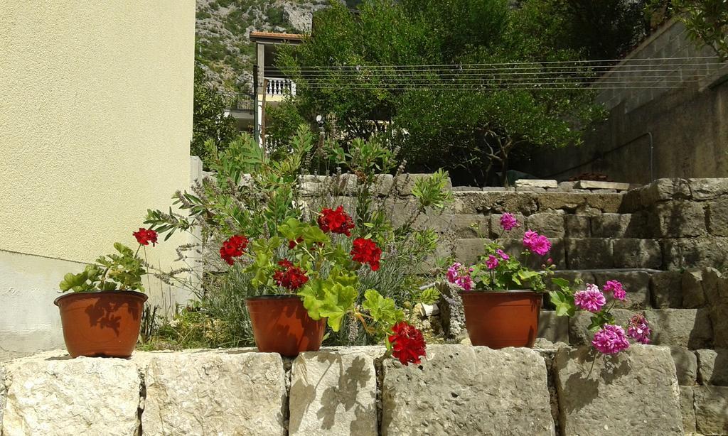 Apartment Adela Kotor Exteriér fotografie